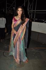 Rashmi Nigam at Pidilite CPAA Show in NSCI, Mumbai on 11th May 2014,1